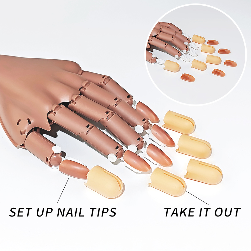ネイル練習用ハンド 可動パーツ チップ アート用品 ツール  - Furniture Hardware Nails のレビューと価格